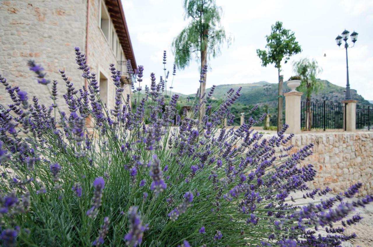 Casale Madeccia Konuk evi Sonnino Dış mekan fotoğraf