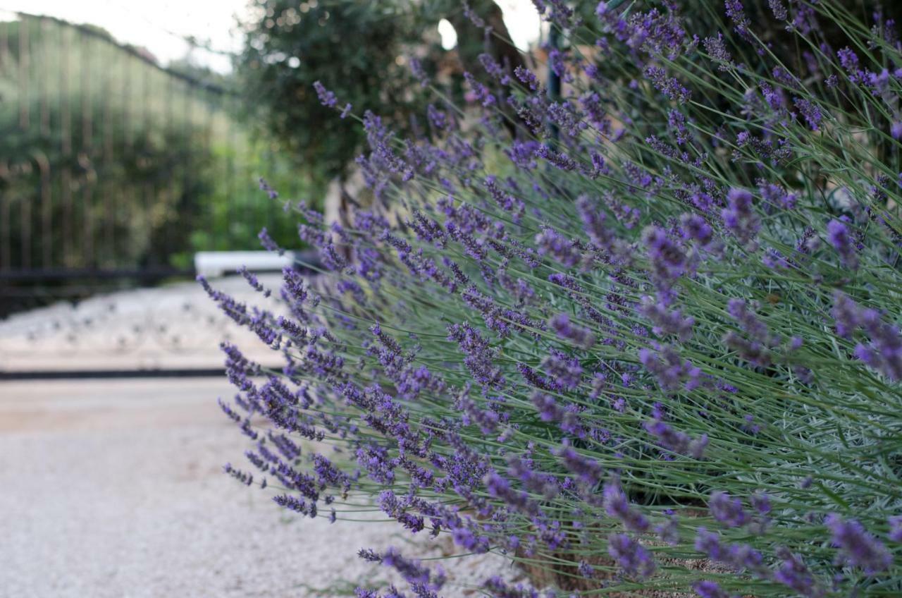 Casale Madeccia Konuk evi Sonnino Dış mekan fotoğraf