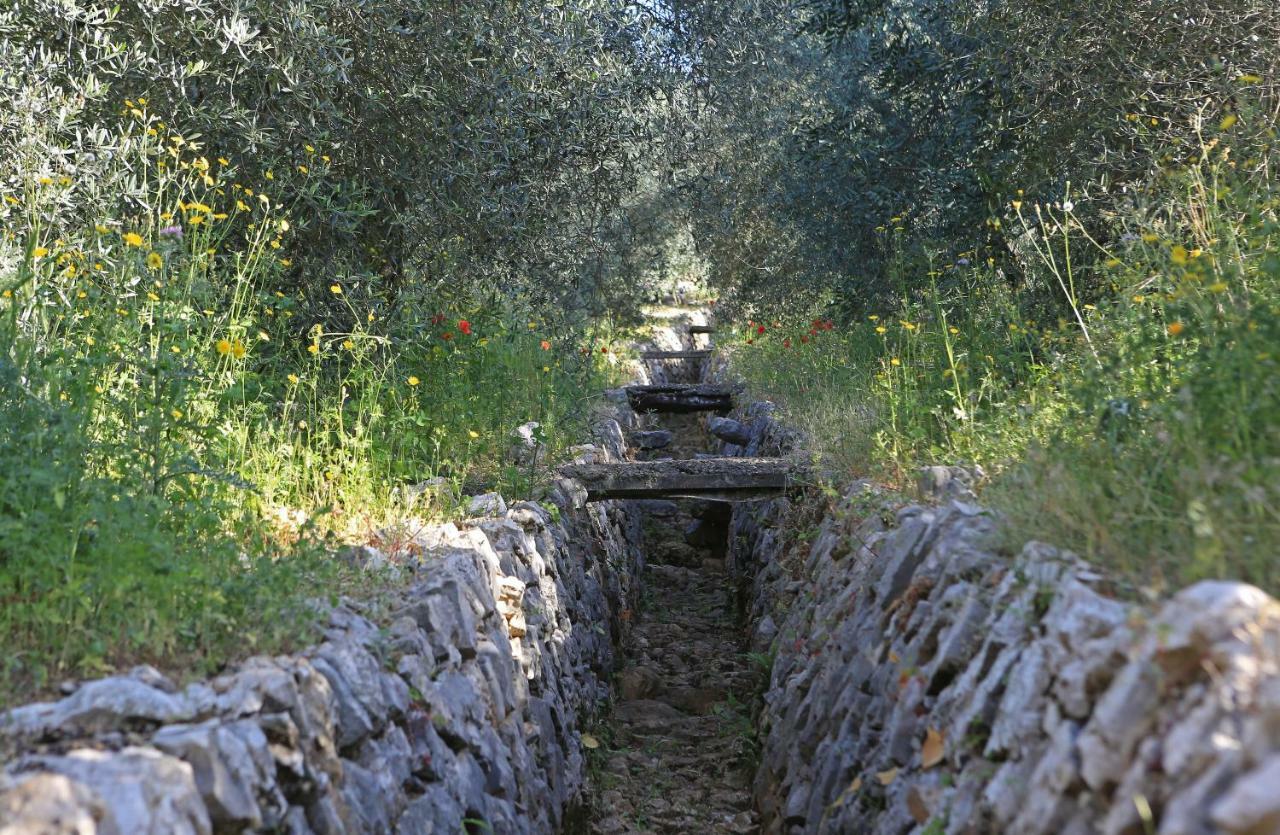 Casale Madeccia Konuk evi Sonnino Dış mekan fotoğraf