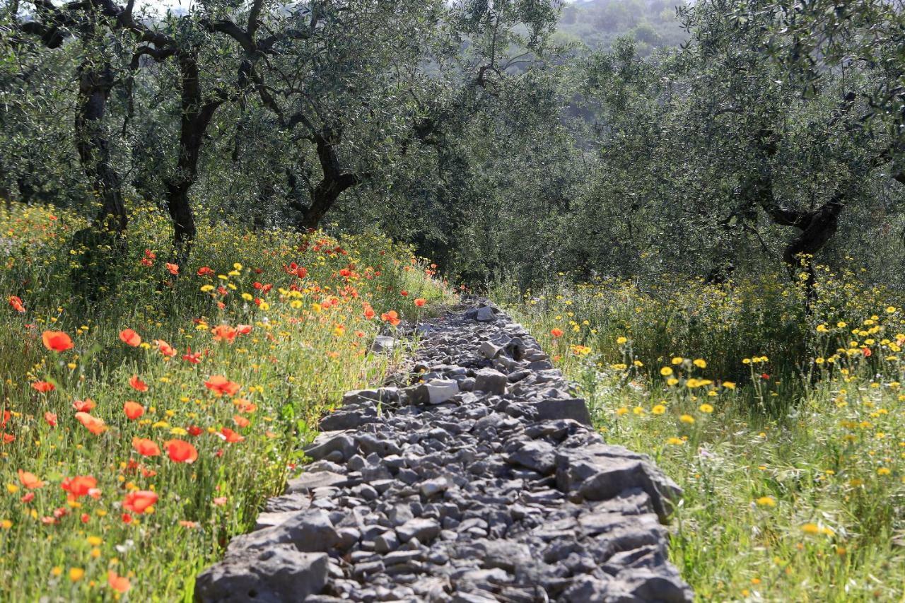 Casale Madeccia Konuk evi Sonnino Dış mekan fotoğraf